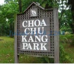 Blk 458 Choa Chu Kang Avenue 4 (Choa Chu Kang), HDB Executive #89377962